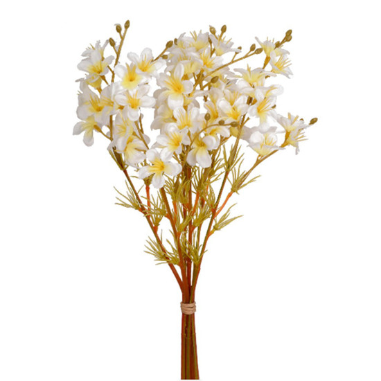 Imagem RAMALHETE DE PRIMULA X6 CREME 11X36CM - GRILLO 53576