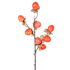 Imagem de HASTE MOLDÁVEL DECORATIVA DE CAQUI LARANJA 53CM - GRILLO - Grillo Ltda