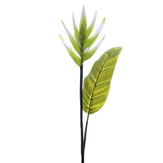 Imagem de HELICÔNIA TROPICAL COM FOLHA 82CM CREME 32940 GRILLO - Grillo Ltda