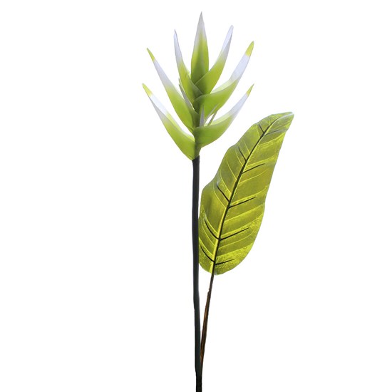 Imagem HELICÔNIA TROPICAL COM FOLHA 82CM CREME 32940 GRILLO