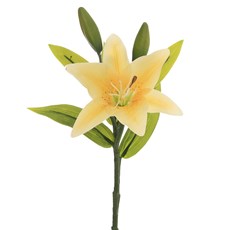 Imagem de LÍRIO REAL MÉDIA 32CM AMARELO 33000 GRILLO - Grillo Ltda