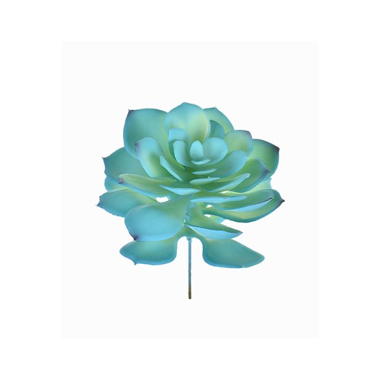 Imagem SUCULENTA REAL 14CM AZUL 42993 GRILLO