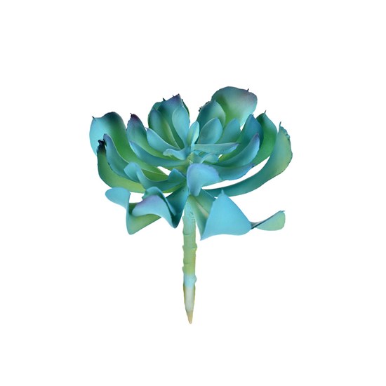 SUCULENTA REAL 14CM AZUL 42995 GRILLO - Grillo Home Decor