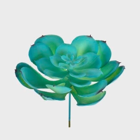 Imagem SUCULENTA REAL VERDE 42991 GRILLO