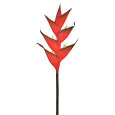 Imagem de HASTE HELICONIA TROPICAL VERMELHO 41192 GRILLO - Grillo Ltda