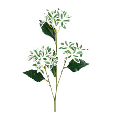 Imagem de HASTE FOLHAS X3 VERDE BRANCO 20X56CM GRILLO 51703 - Grillo Ltda