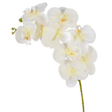 Imagem de HASTE ORQUIDEA PHALAENOPSIS X9 MP COR BRANCO 10X86CM - GRILLO 52931 - Grillo Ltda