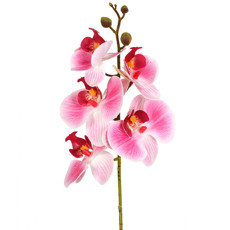 Imagem de HASTE ORQUIDEA PHALAENOPSIS X5 3D ROSA 13X44CM - GRILLO 53475 - Grillo Ltda