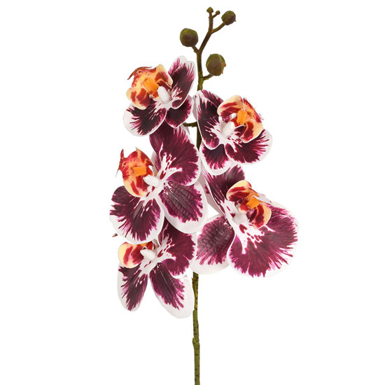 Imagem HASTE ORQUIDEA PHALAENOPSIS X5 3D MARSALA 13X44CM - GRILLO 53475