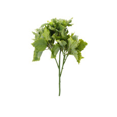 Imagem de HASTE COMPLEMENTO FOLHAS VERDE CLARO 55CM - GRILLO 45541 - Grillo Ltda