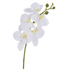 Imagem de HASTE ORQUIDEA 3D X5 BRANCO 15X43CM - GRILLO 55396 - Grillo Ltda