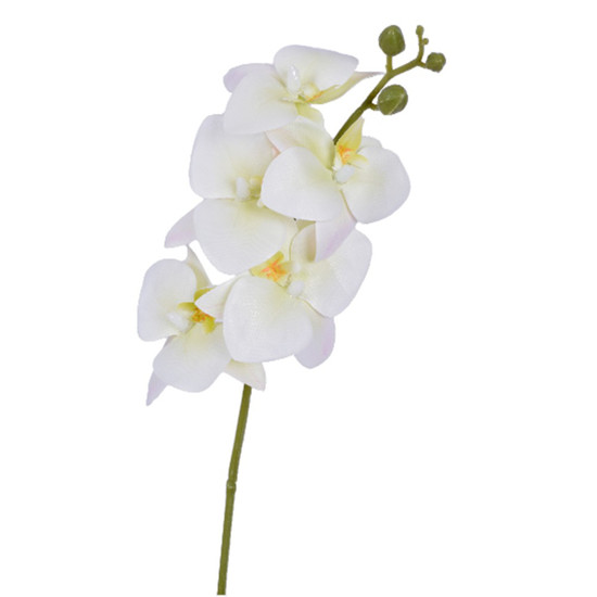 Imagem HASTE ORQUIDEA 3D X5 CREME VERDE 15X43CM - GRILLO 55396