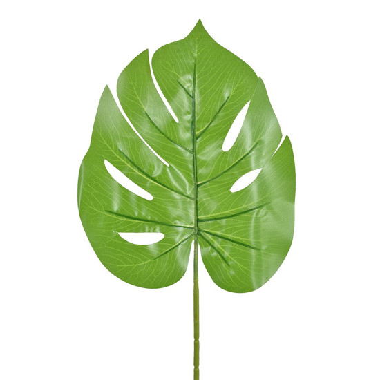 Imagem HASTE DECORATIVA FOLHA COSTELA DE ADÃO VERD CLARO REAL TOQUE 24X63CM - GRILLO