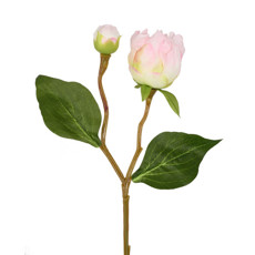 Imagem de HASTE PEONIA REGIA X2 ROSA 19X45CM - GRILLO 53417 - Grillo Ltda