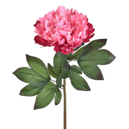 Imagem HASTE PEONIA DO CAMPO ROSA 25X74CM GRILLO 51176