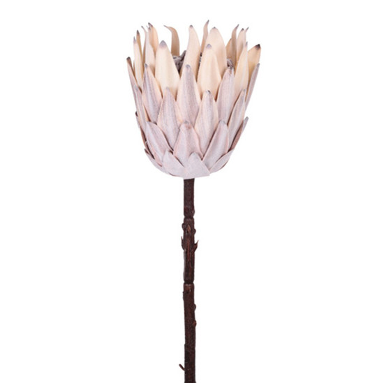 Imagem HASTE PROTEA FLOCADA CAFÉ 16X56CM GRILLO 55373