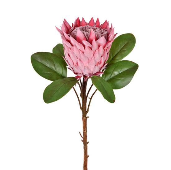 Imagem HASTE PROTEA ROSA ESCURO 20X69CM GRILLO 55370