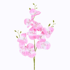 Imagem de HASTE ORQUIDEA PHALAENOPSIS X3 ROSA 75CM - GRILLO 56279 - Grillo Ltda