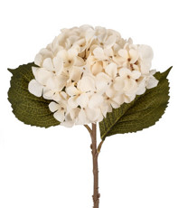 Imagem de HASTE HORTENSIA SILVESTRE BEGE 18X45CM - GRILLO 53580 - Grillo Ltda