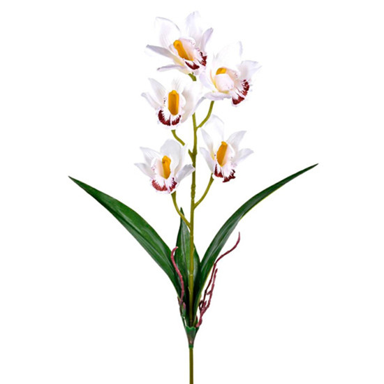 Imagem HASTE ORQUIDEA X5 COM RAIZ BRANCO 14X58CM GRILLO 46409