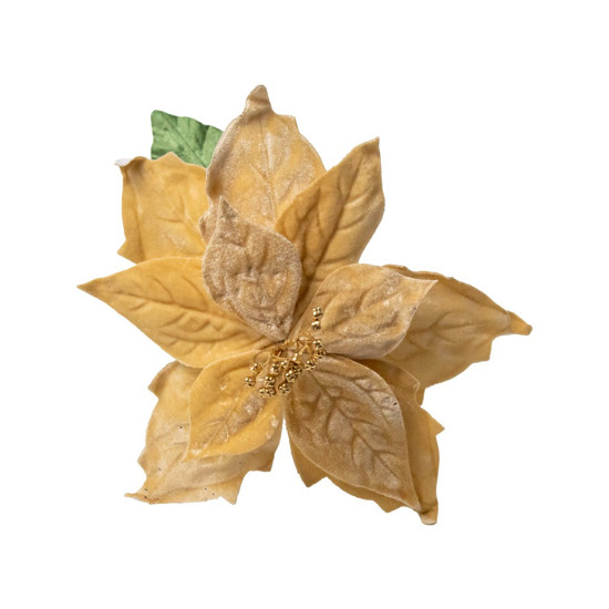 Imagem FLOR POINSETIA DECORATIVA COR BEGE VELUDO COM DOURADO 48CM CABO LONGO 