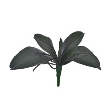 Imagem de FOLHA DE ORQUIDEA X5 EM PVC VERDE 30X20CM GRILLO 51396 - Grillo Ltda