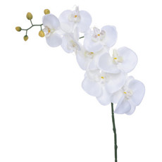 Imagem de HASTE DECOR ORQUÍDEA BRANCA PERMANENTE EM PLÁSTICO E CETIM 103X16 CM GRILLO 46356 - Grillo Ltda