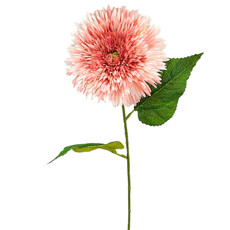 Imagem de HASTE DECORATIVA PERMANTE DE GERBERA AGULHA MALVA EM PLÁSTICO MOLDÁVEL 67X20 CM - Grillo Ltda