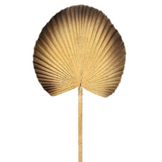 Imagem de HASTE DECORATIVA FOLHA DE PALMEIRA LEQUE AMARELO EM PLÁSTICO MOLDÁVEL 54X25 CM - Grillo Ltda