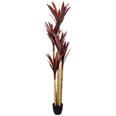 Imagem de PLANTA DRACENA DECORATIVA DE FOLHAS MARROM EM PLÁSTICO  NO POTE 210X50 CM - GRILLO - Grillo Ltda