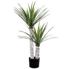 Imagem de PLANTA SISAL DUAS HASTES BRANCAS E FOLHAS VERDES DECORATIVA EM PLÁSTICO - GRILLO - Grillo Ltda