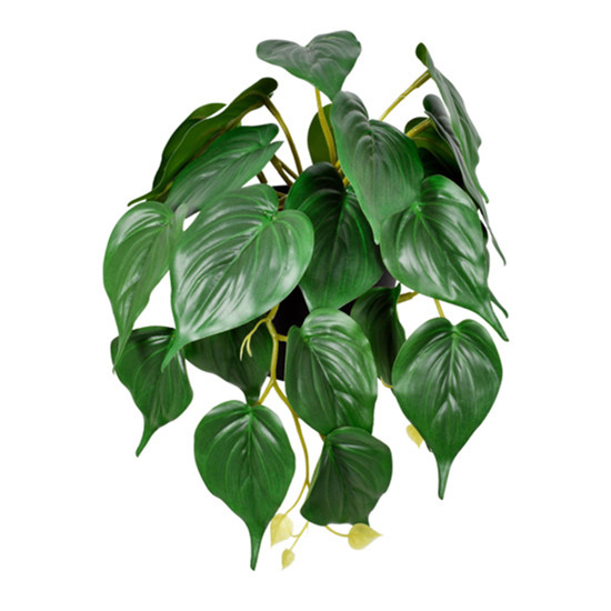 Imagem ARRANJO DECORATIVO DE FOLHAS PERMANANTES VERDE ESCURO NO VASO EM PLÁSTICO - GRILLO