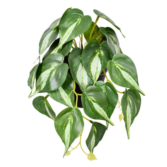 Imagem ARRANJO DECORATIVO DE FOLHAS PERMANANTES CREME VERDE NO VASO EM PLÁSTICO - GRILLO