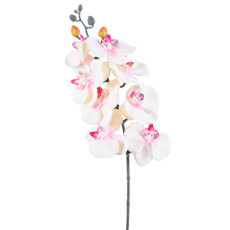 Imagem de HASTE DECORATIVA DE ORQUÍDEA PHALAENOPSIS CREME EM PLÁSTICO MOLDÁVEL - GRILLO - Grillo Ltda