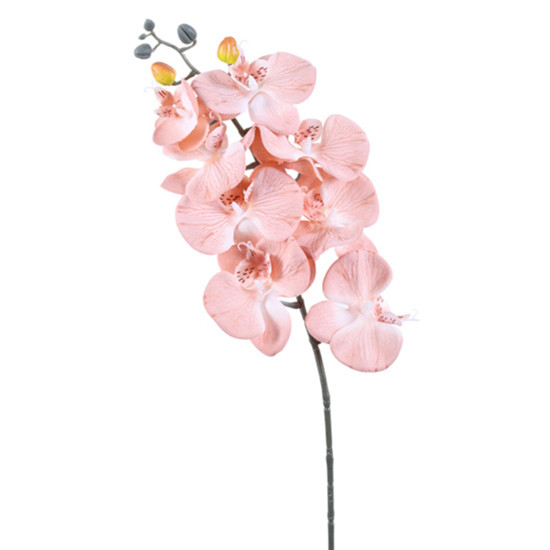 Imagem HASTE DECORATIVA DE ORQUÍDEA PHALAENOPSIS BLUSH EM PLÁSTICO MOLDÁVEL 80X16CM GRILLO