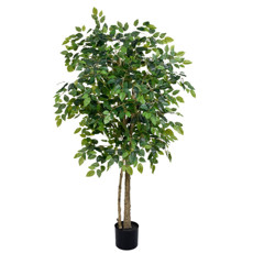 Imagem de PLANTA DECORATIVA FICUS FOLHAS VERDES EM PLÁSTICO 160X65CM - GRILLO - Grillo Ltda