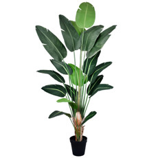 Imagem de PLANTA DECORATIVA STRELITZIA VERDE EM PLÁSTICO E ESTRUTURA MOLDÁVEL - GRILLO - Grillo Ltda