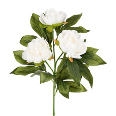 Imagem de HASTE DECORATIVA DE PEÔNIA DO CAMPO CREME EM PLÁSTICO MOLDÁVEL 78X21CM - GRILLO - Grillo Ltda