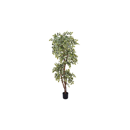 Imagem PLANTA FICUS TOQUE REAL VERDE E BRANCO COM FOLHAS EM PLÁSTICO E TRONCO NATURAL - GRILLO 