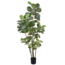 Imagem de PLANTA FICUS LIRATA TOQUE REAL COM FOLHAS VERDES EM PVC E TRONCO EM PLÁSTICO - GRILLO - Grillo Ltda