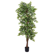 Imagem de PLANTA FICUS TOQUE REAL VERDE COM FOLHAS EM PLÁSTICO E TRONCO NATURAL - GRILLO - Grillo Ltda