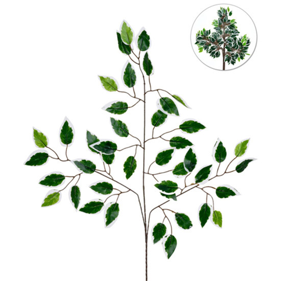 Imagem HASTE DECORATIVA DE FOLHAS DE FICUS VERDE E BRANCO DE PLÁSTICO MOLDÁVEL - GRILLO