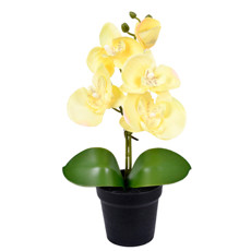 Imagem de ARRANJO DECORATIVO DE ORQUÍDEA AMARELA DE PLÁSTICO 28X16CM - GRILLO - Grillo Ltda
