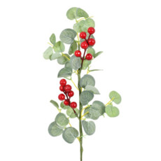 Imagem de HASTE BERRY EUCALIPTO VERMELHO - Grillo Ltda
